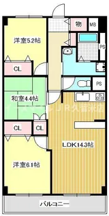 RiMine【5階】の間取り