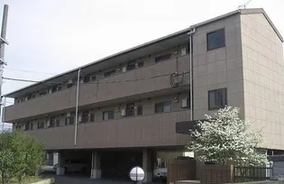 コーポベルヴュー【3階】の外観