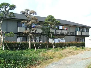 ハイネス迎野の画像