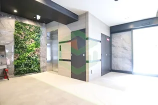 Modern palazzo住吉【12階】のその他画像