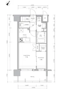 ネストピア博多Side Terrace【8階】の間取り