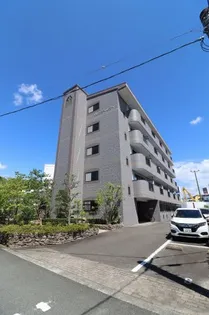 セレンディピティの画像