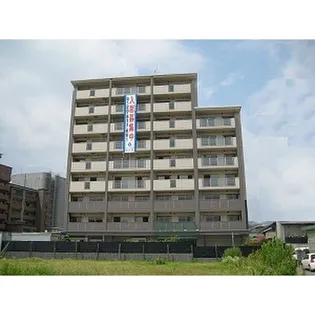 グート千早の画像