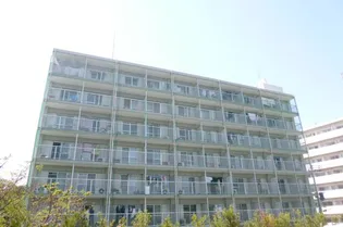 パールマンション上津の画像