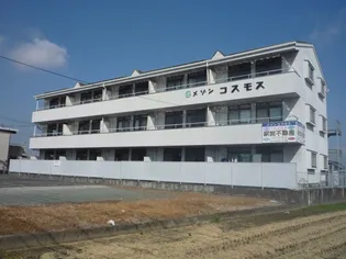 メゾンコスモス【3階】の外観