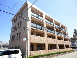 ヒノデカンの画像