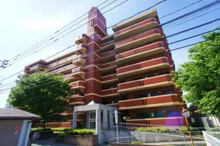 アメニティハイツ杏栄館【1階】の外観