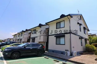 ベルナール津福の画像