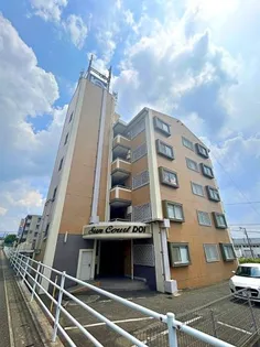 サンコートDOIの画像