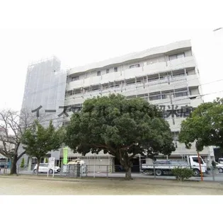 プロビデンス花畑の画像