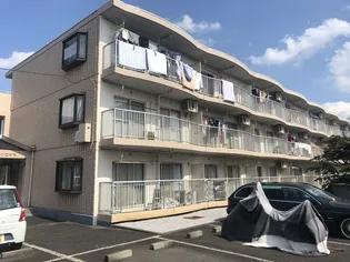 サンハイツコヤマの画像