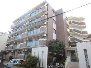 ピーノパラッツォ16の画像