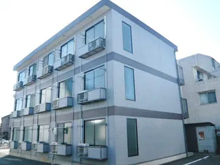 フイリアの画像