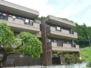 さくらコートの画像