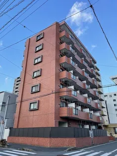 ベルメゾン三郷【0306号室】の外観