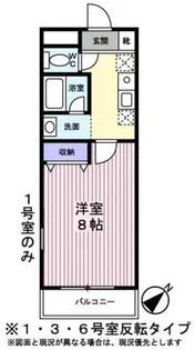 バイオレットTAKEDA【0207号室】の間取り
