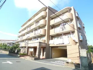 ヒロチサトの画像