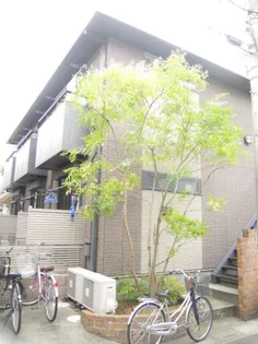 ジョイナス【0201号室】の外観