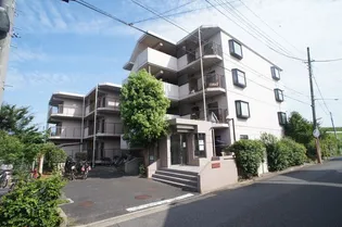 サンライズ サクラの画像