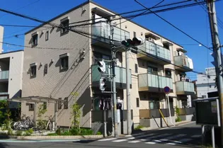 BEREO夏端月の画像