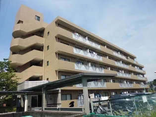 サンライズの画像