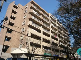 SAKURA AVENUEの画像