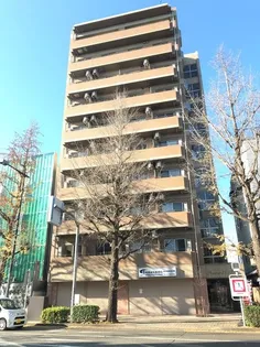 アムール石井の画像