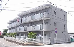 アムールキタイの画像