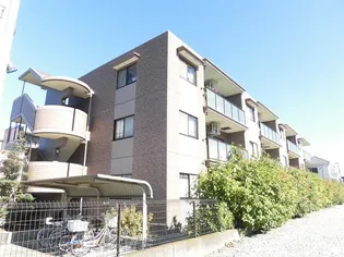 フォレスタの画像