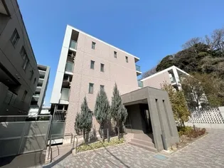 NEO AXIS綱島の画像