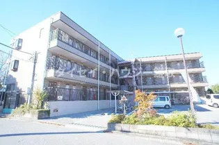 メイプルの画像