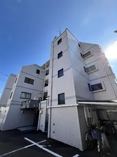 ハイネス新高【0305号室】の外観