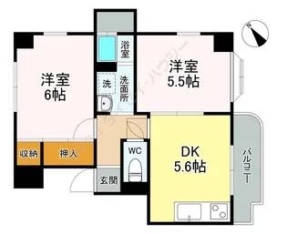ハイネス新高【0305号室】の間取り