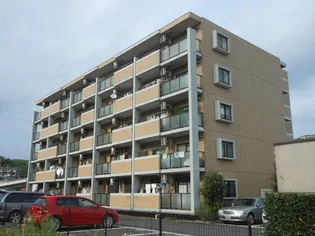 エル アコルデの画像