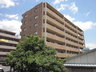 VIVRE武蔵小杉の画像