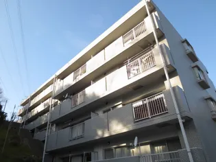 メゾン朝比奈【0201号室】の外観