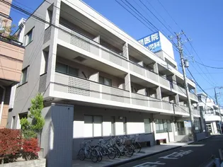 セレッソ湘南の画像