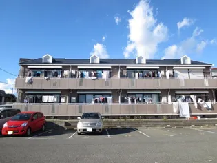 エクセルニゼムの画像