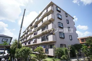 アヴニール梨の樹の画像