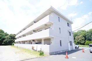 グリーンハイツMの画像