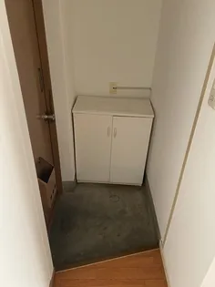 富士見ビル【0303号室】の玄関