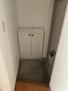 富士見ビル【0502号室】の玄関