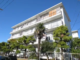 T ICHIMURA BLの画像