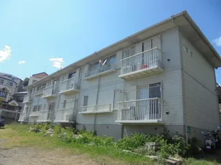 大黒屋ハイツ5番館【0203号室】の外観