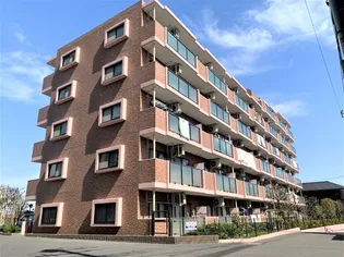 エクセラン東松戸【0205号室】の外観