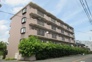 CEREZA SAKAMOTOの画像