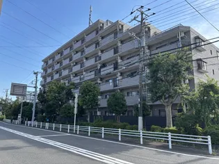 エルム大倉山の画像