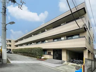 フラットマイヤーの画像