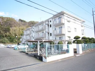 セ ラ ブール湘南の画像