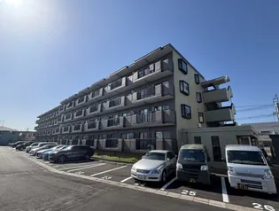 カサグランデの画像